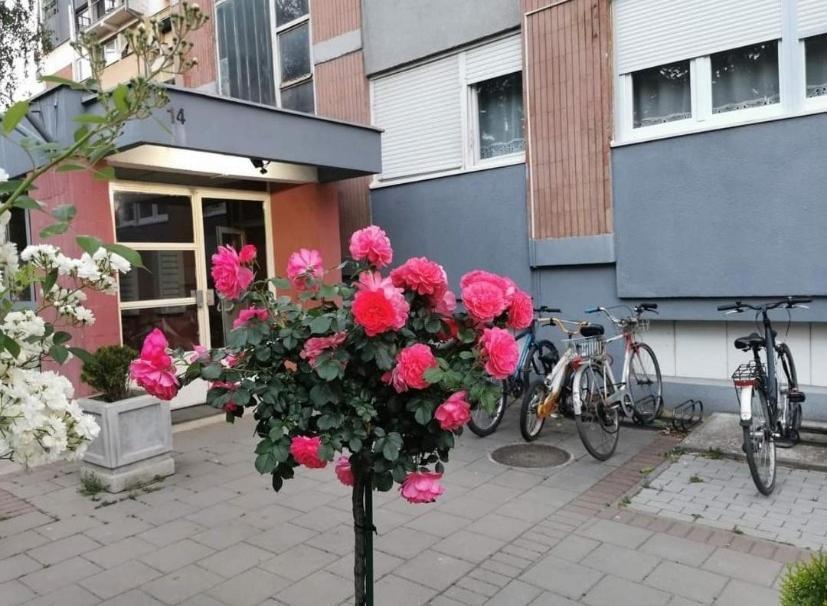 Vuk Apartment Čačak Exterior foto
